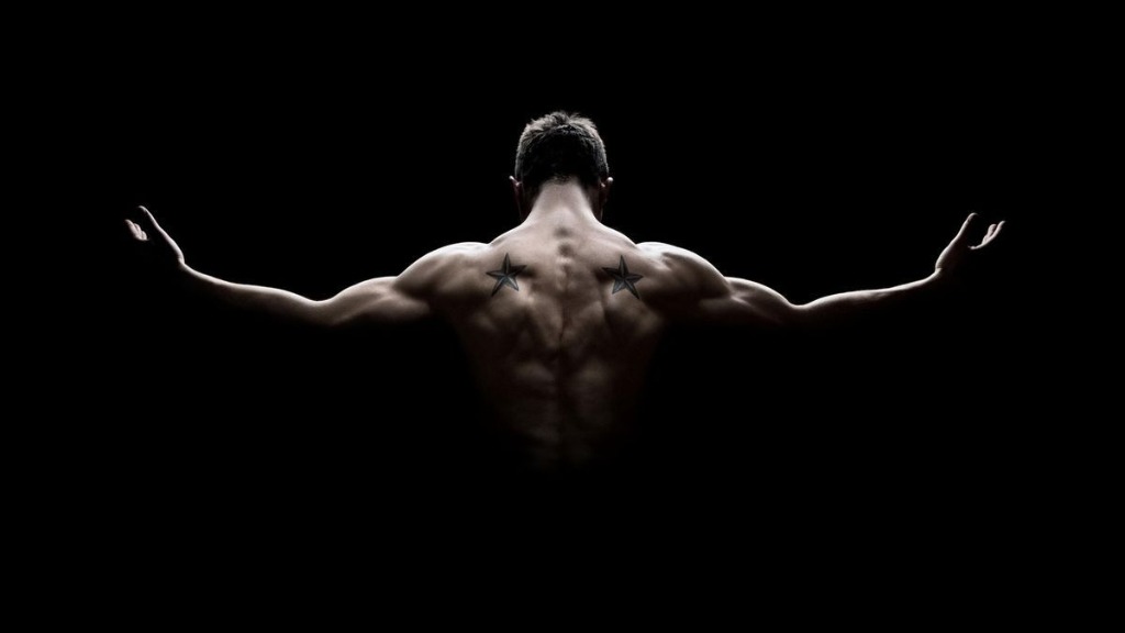 Muscular V-Taper Aesthetic Back